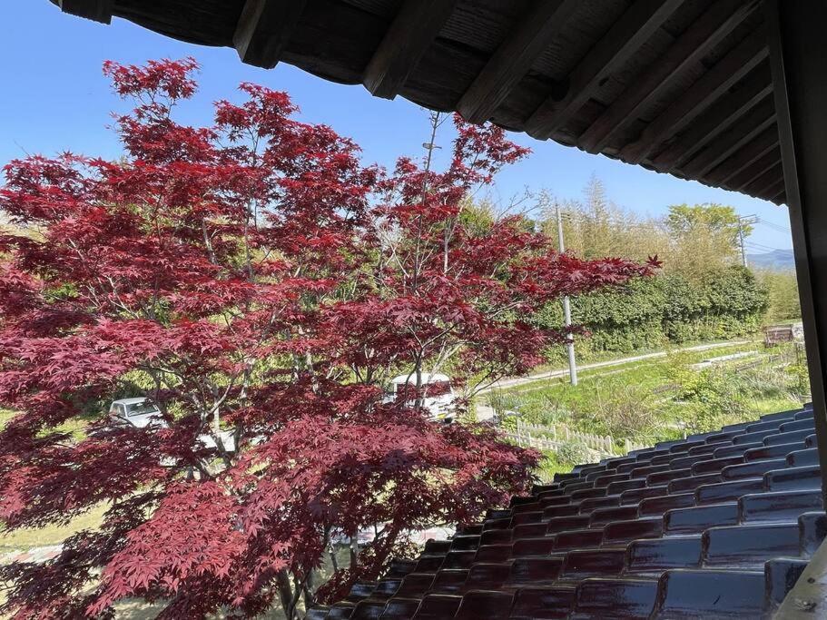 ガーデンハウス道楽亭 Villa Sado Exterior foto